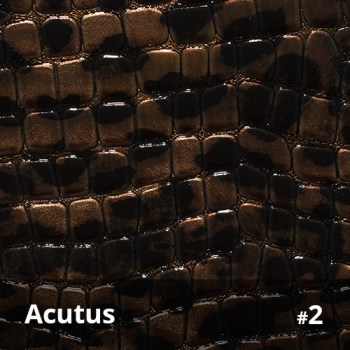 Acutus 2